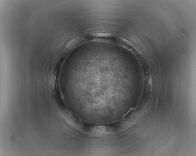 X0000112060227200908111418