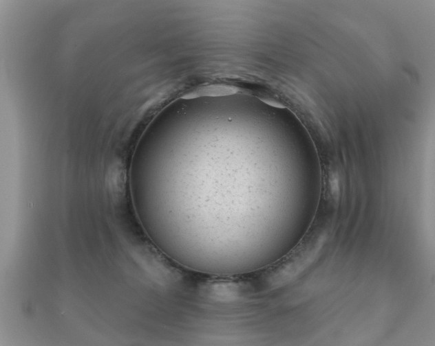 X0000112060228200908111418