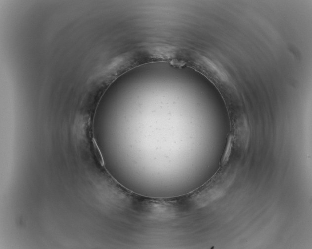 X0000112060229200908111418