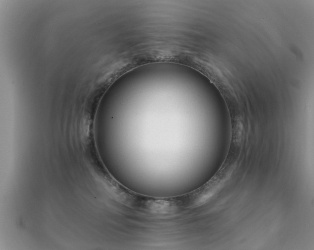 X0000112060230200908111418