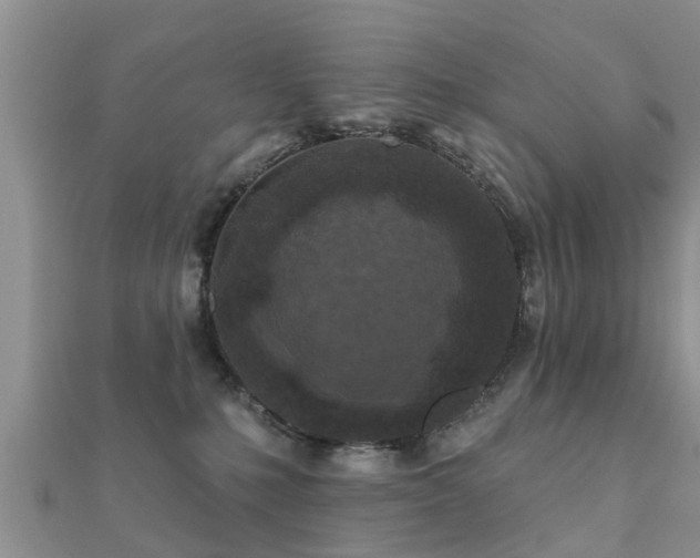 X0000112060231200908111418