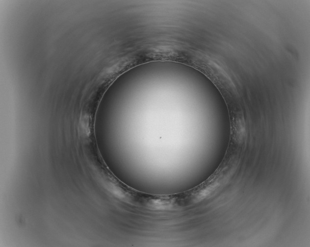 X0000112060232200908111418