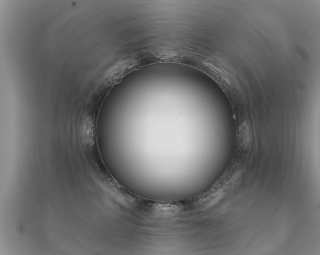 X0000112060234200908111418