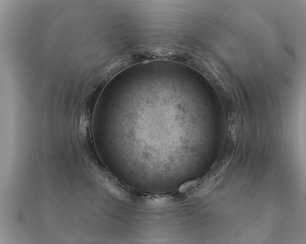 X0000112060235200908111418