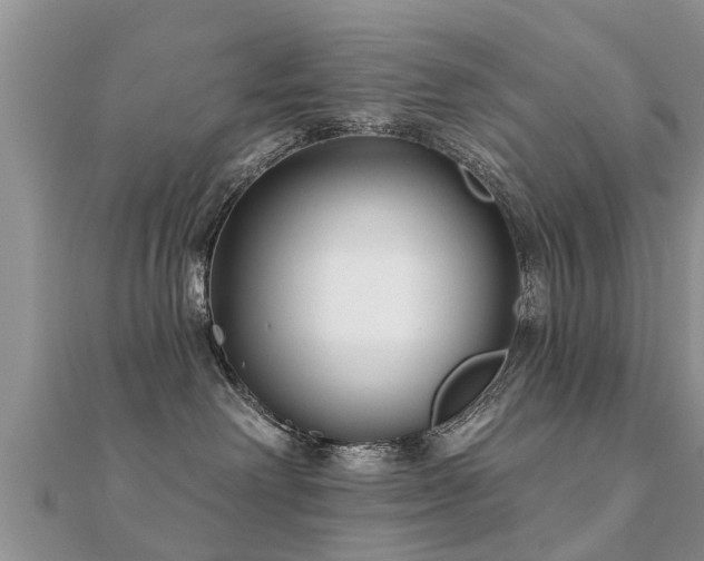 X0000112060238200908111418