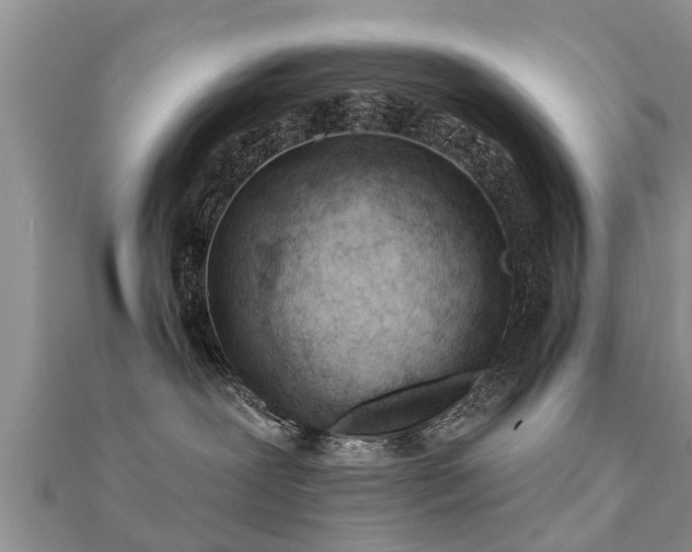 X0000112060239200908111418