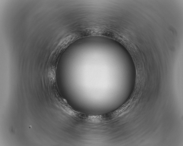 X0000112060240200908111418