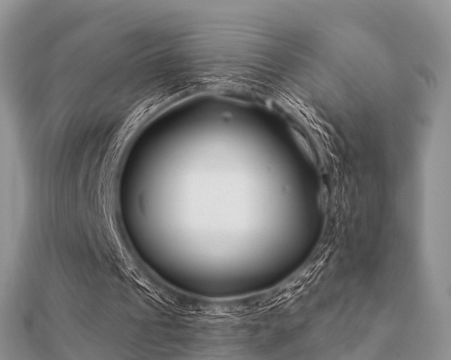 X0000112060241200908111418