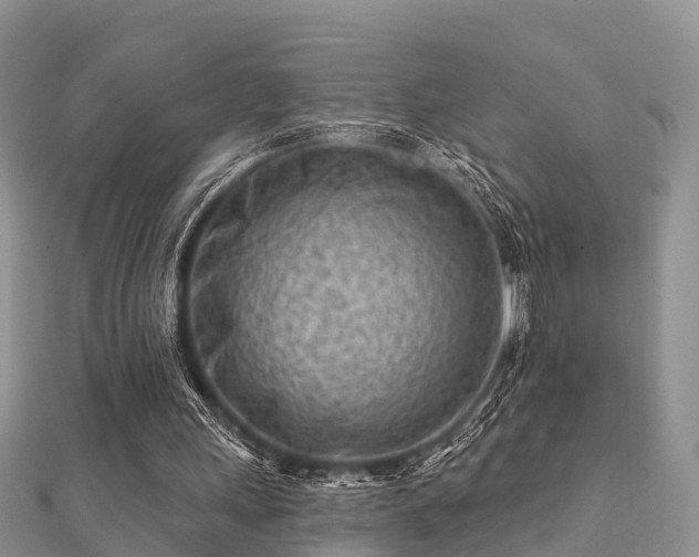 X0000112060243200908111418