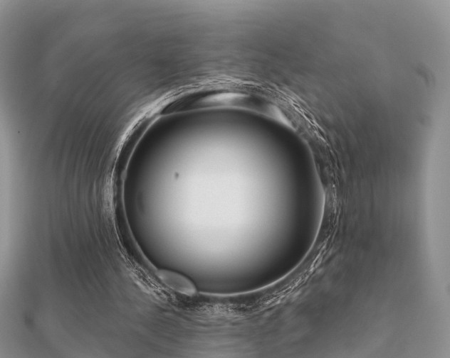 X0000112060244200908111418