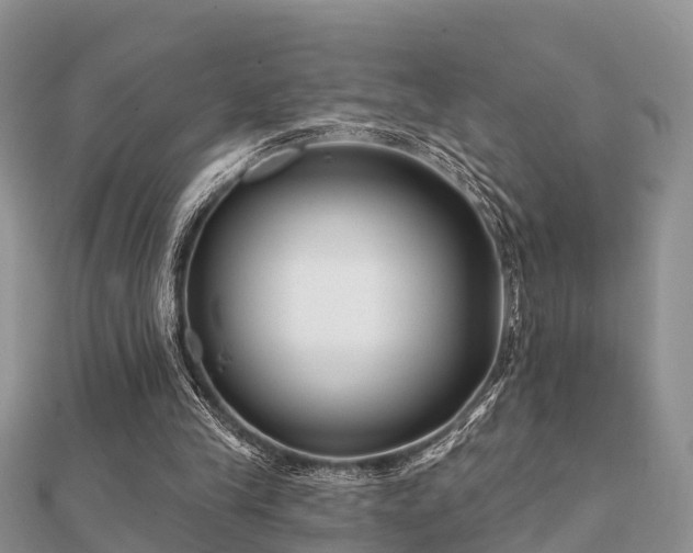 X0000112060245200908111418