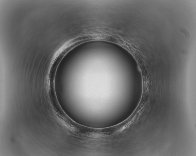 X0000112060246200908111418