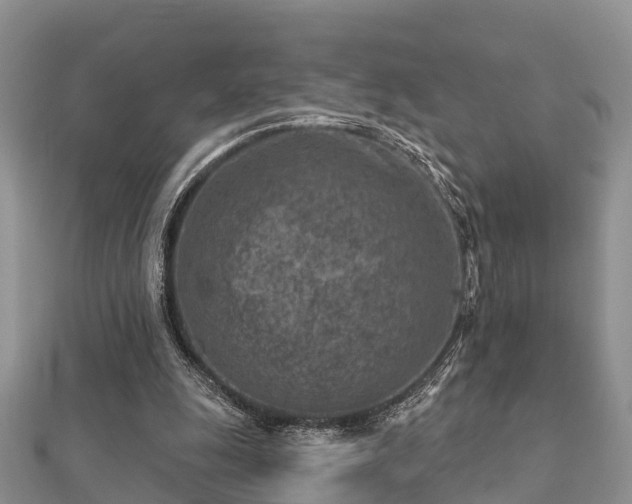 X0000112060247200908111418