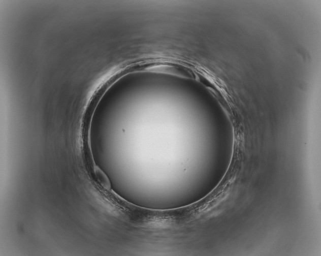 X0000112060248200908111418