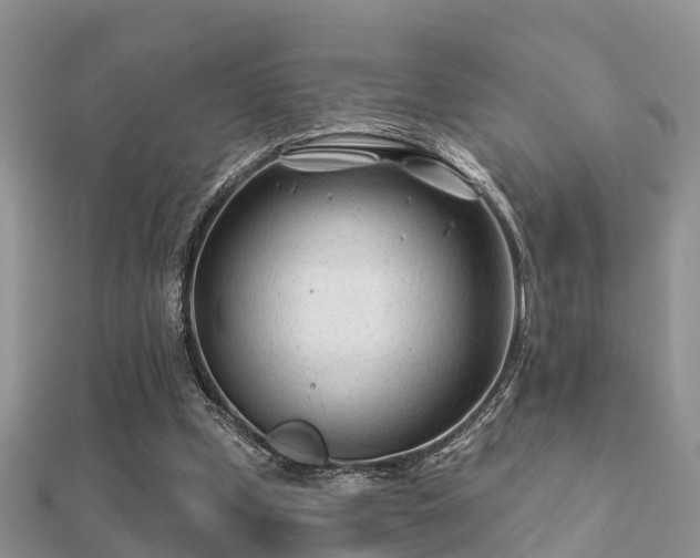 X0000112060249200908111418