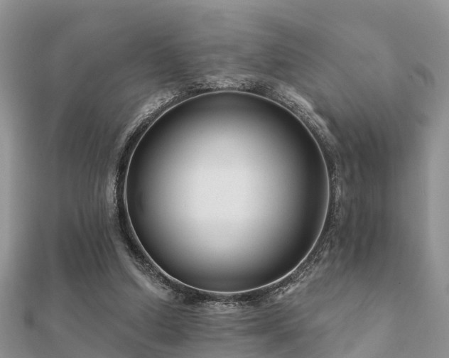 X0000112060250200908111418