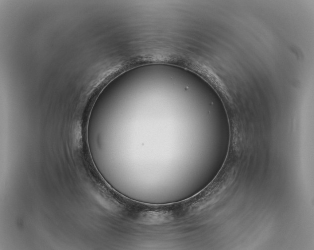 X0000112060251200908111418