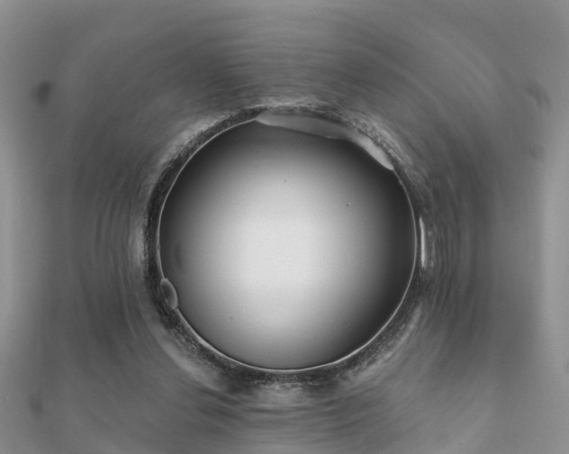 X0000112060252200908111418