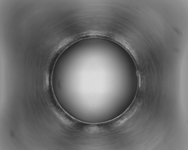 X0000112060253200908111418