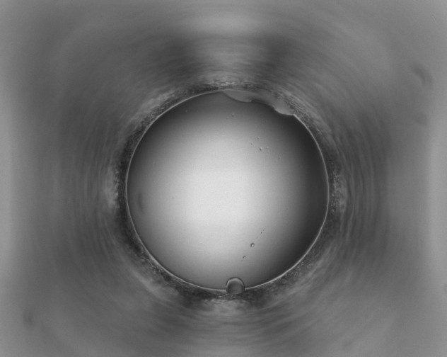 X0000112060255200908111418