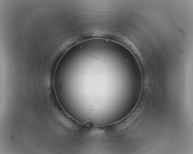 X0000112060257200908111418