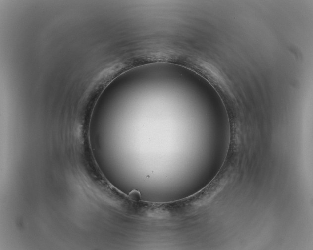 X0000112060258200908111418