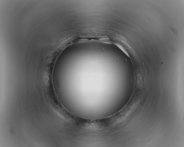 X0000112060259200908111418