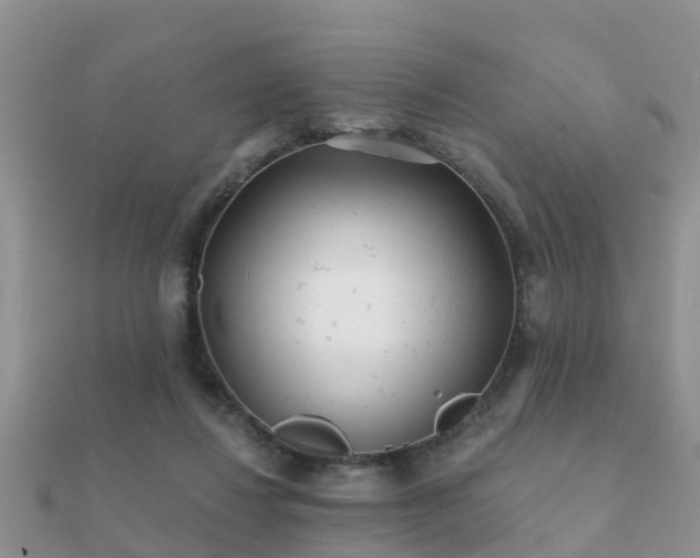 X0000112060260200908111418