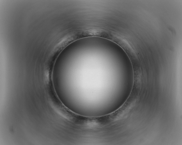 X0000112060262200908111418