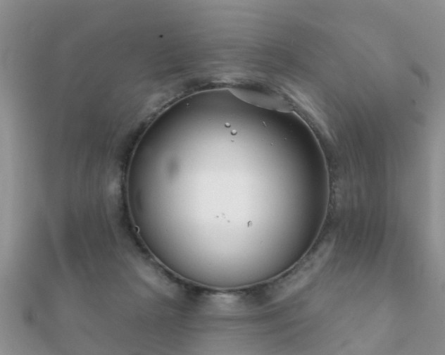 X0000112060265200908111418