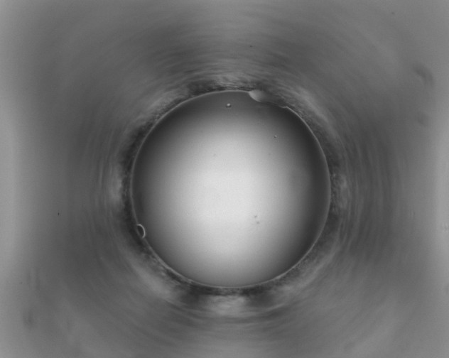 X0000112060266200908111418