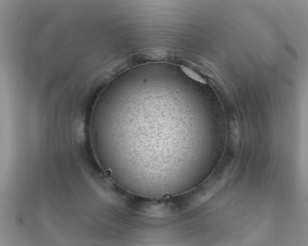 X0000112060267200908111418