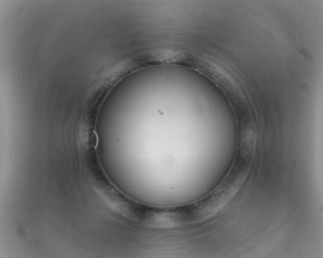 X0000112060268200908111418