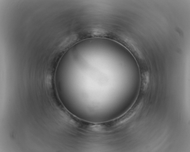 X0000112060269200908111418