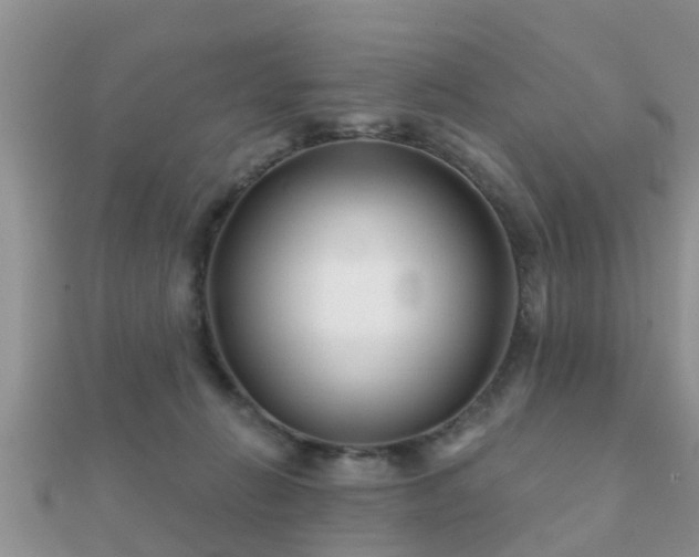 X0000112060270200908111418