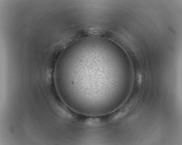 X0000112060271200908111418