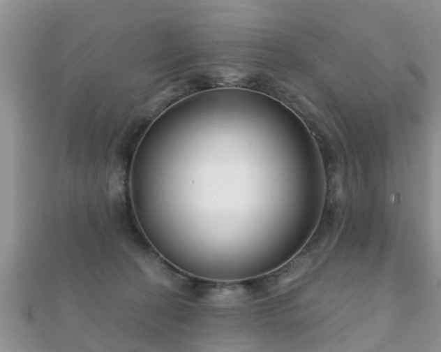 X0000112060274200908111418