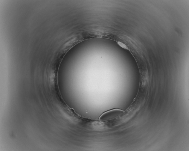 X0000112060279200908111418