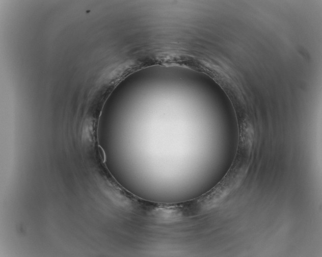 X0000112060280200908111418