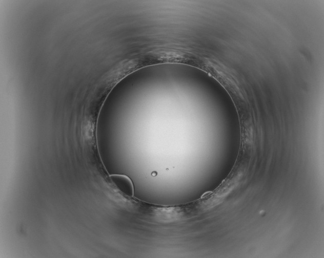 X0000112060281200908111418