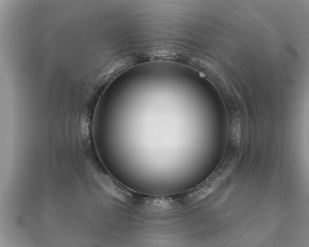 X0000112060282200908111418