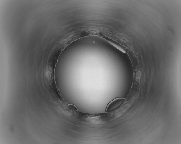 X0000112060283200908111418