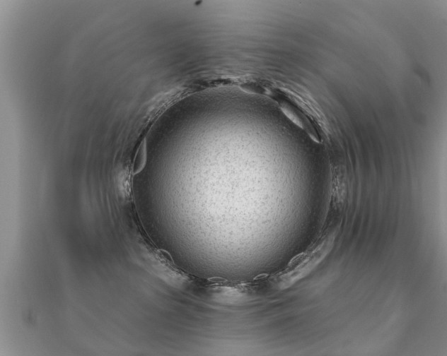 X0000112060285200908111418