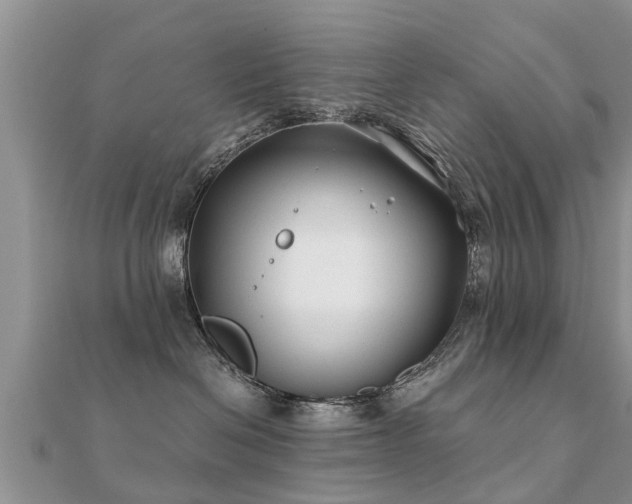 X0000112060286200908111418