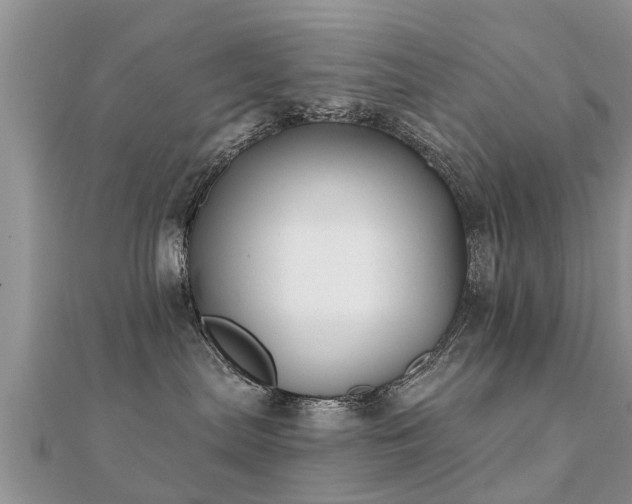 X0000112060287200908111418