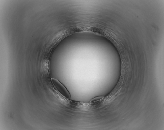 X0000112060288200908111418