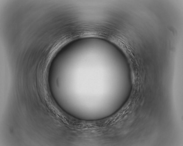 X0000112060289200908111418