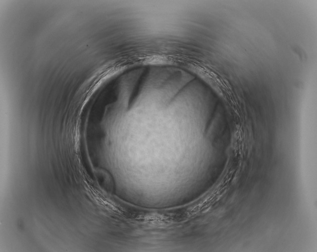 X0000112060290200908111418