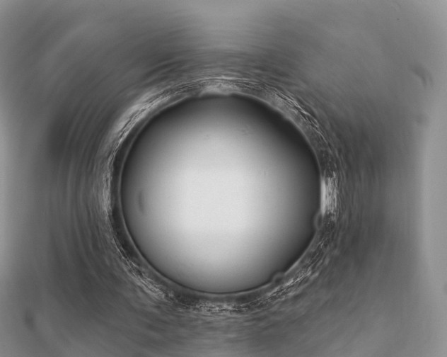 X0000112060291200908111417