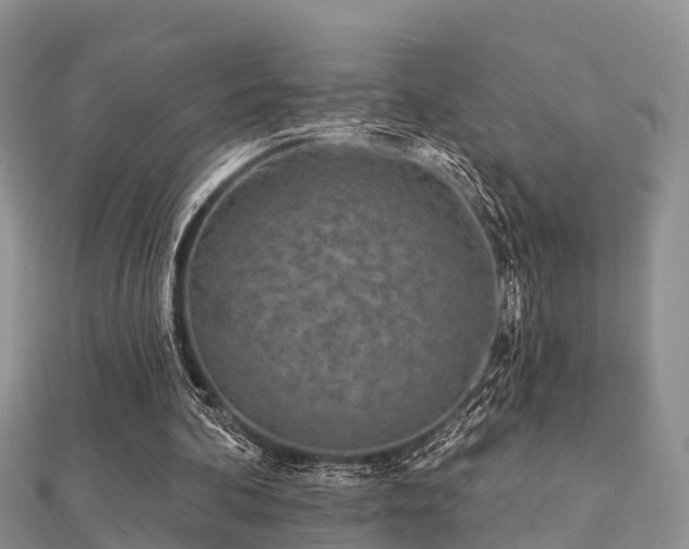 X0000112060292200908111417